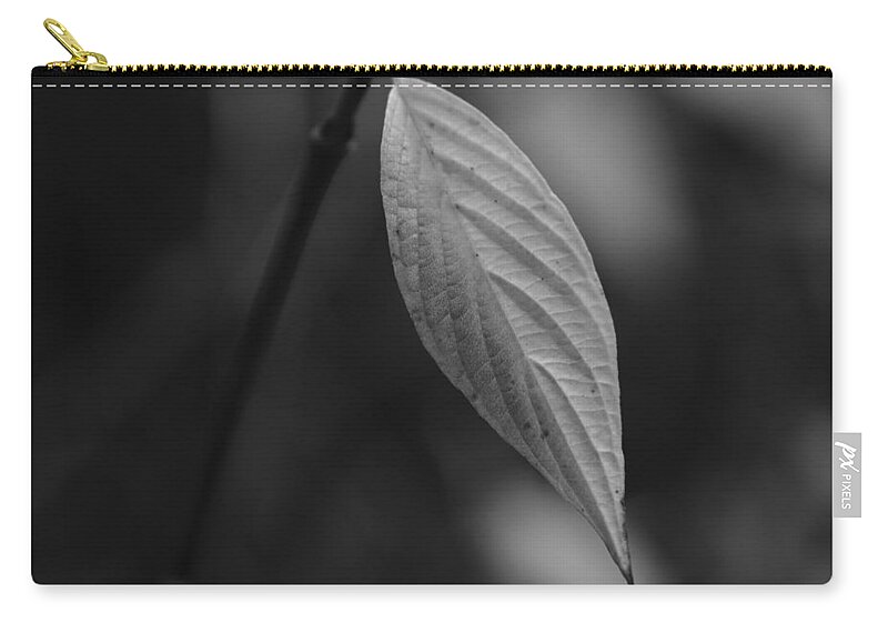 Nature Zip Pouch featuring the photograph Alone in Gray by Jessica Myscofski