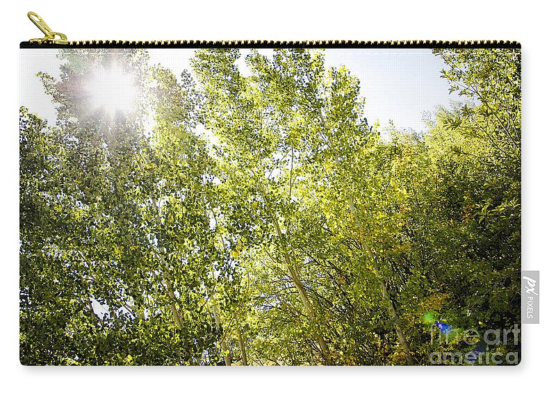 Nature Zip Pouch featuring the photograph Alpine Sunlight in the Rockies by Lincoln Rogers