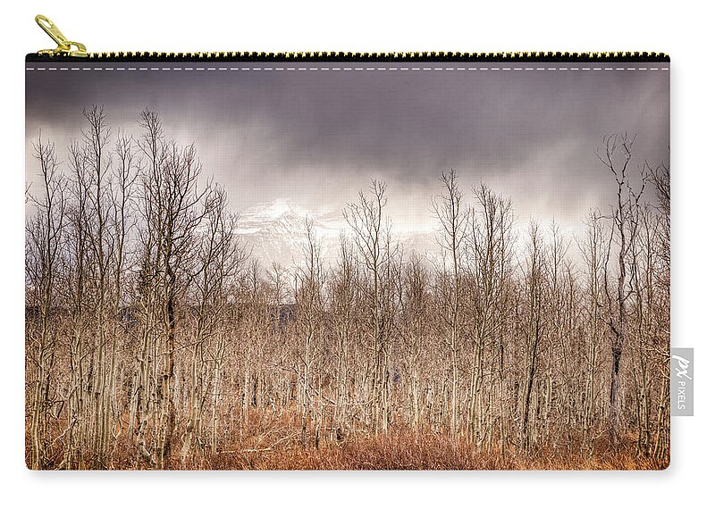 American Fork Canyon Zip Pouch featuring the photograph American Fork Canyon by Brett Engle