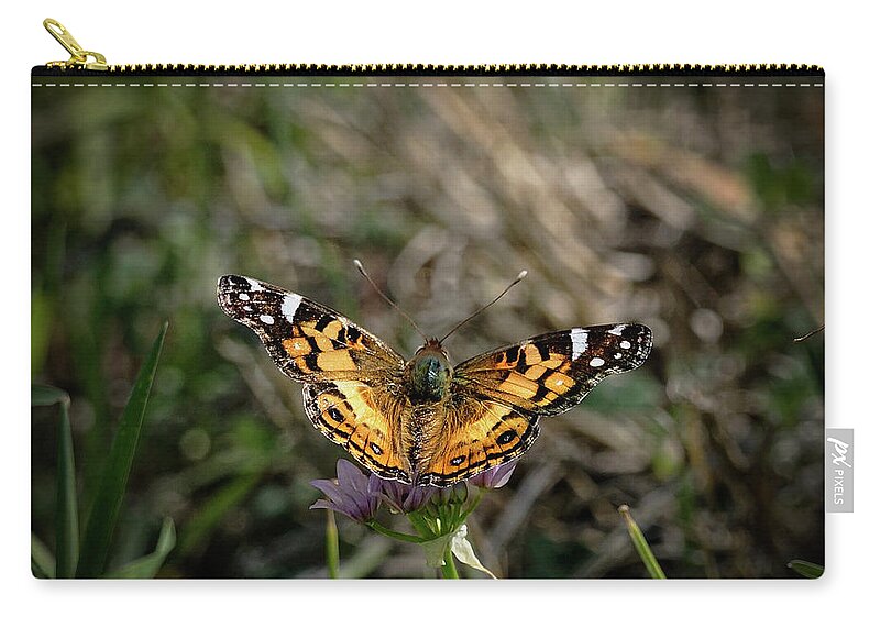 Betty Depee Zip Pouch featuring the photograph American Painted Lady by Betty Depee