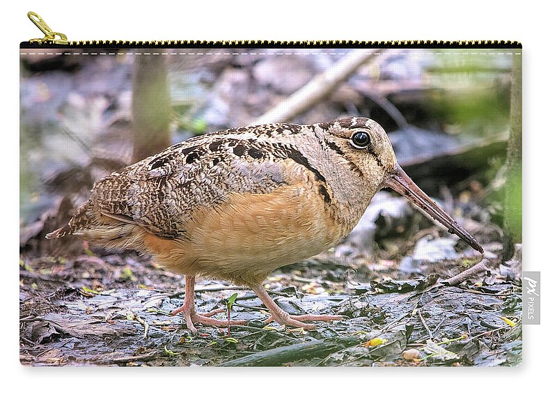 Woodcock Zip Pouch featuring the photograph American Woodcock by Deborah Penland
