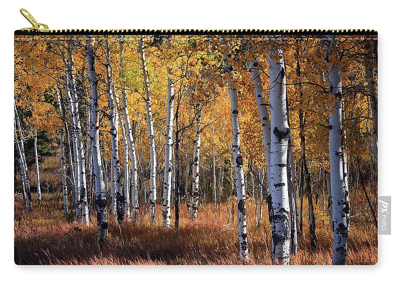 Eco Tourism Carry-all Pouch featuring the photograph An Aspen Grove In Autumn With Orange by Denny35463