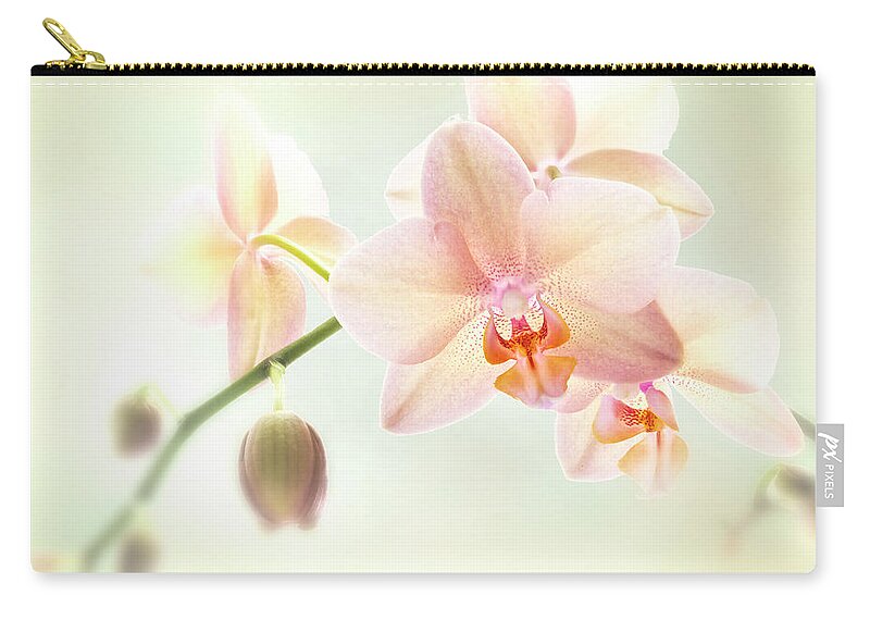 Beautiful Zip Pouch featuring the photograph An Orchid spray. by Usha Peddamatham