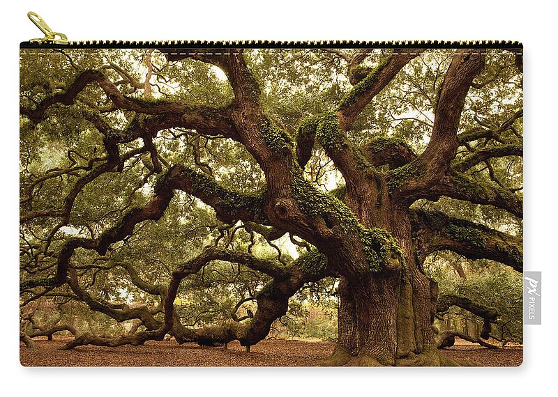 Southern Usa Zip Pouch featuring the photograph Ancient Angel Oak Near Charleston by Pgiam