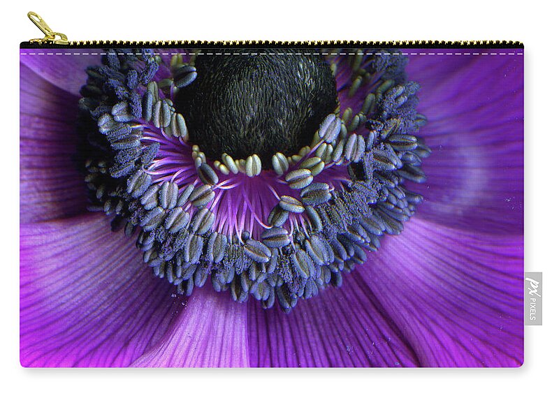 Windflower Zip Pouch featuring the photograph Anemone Coronaria by Photograph By Magda Indigo