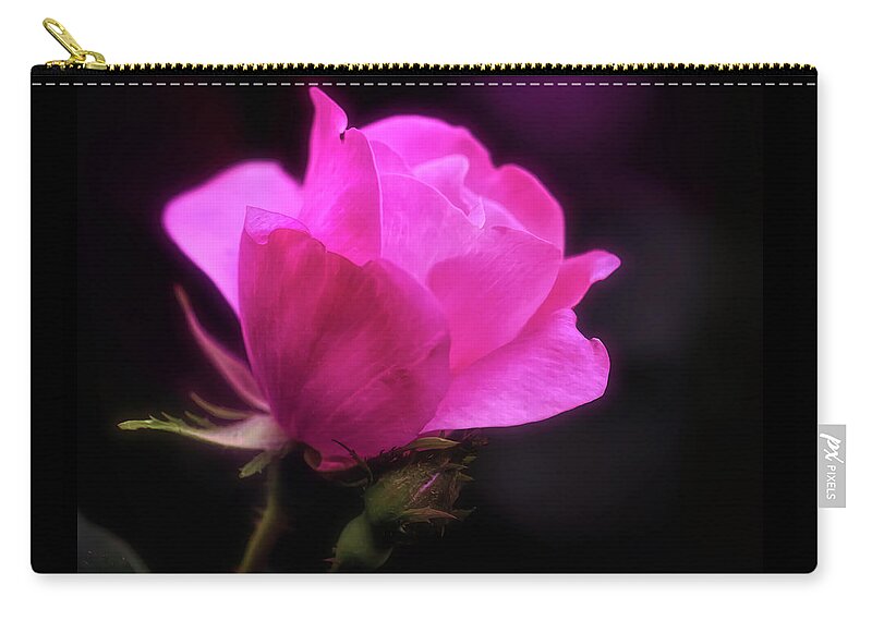 Rose Zip Pouch featuring the photograph Anniversary Rose by Anita Pollak