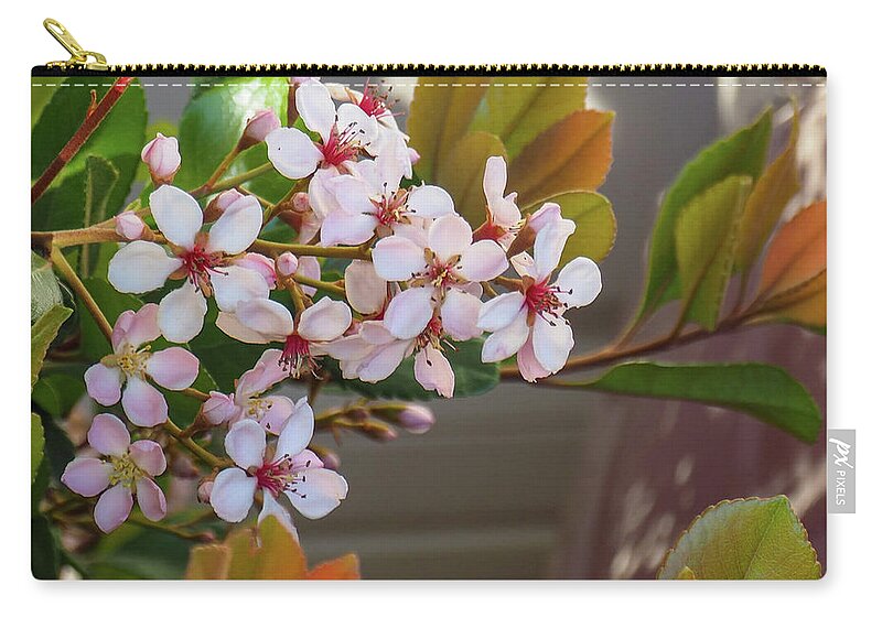 Flower Zip Pouch featuring the photograph Another Bloom 4 by C Winslow Shafer