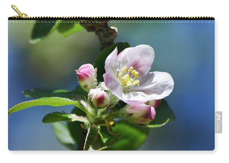 Apple Blossom Zip Pouch featuring the photograph Apple Blossom by Christina Rollo