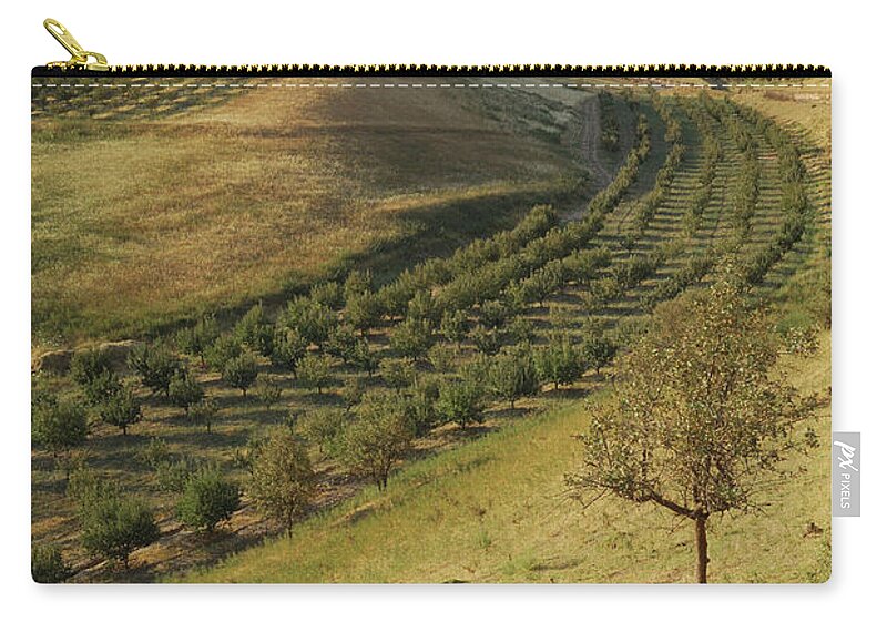 Scenics Zip Pouch featuring the photograph Apple Tree Orchard Like River In by Bernard Grua