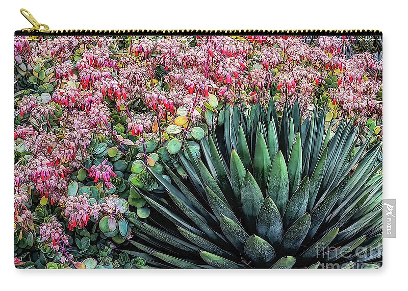 Aqua Zip Pouch featuring the photograph Aqua Succulent with Colorful Pink Backgroundl by Roslyn Wilkins