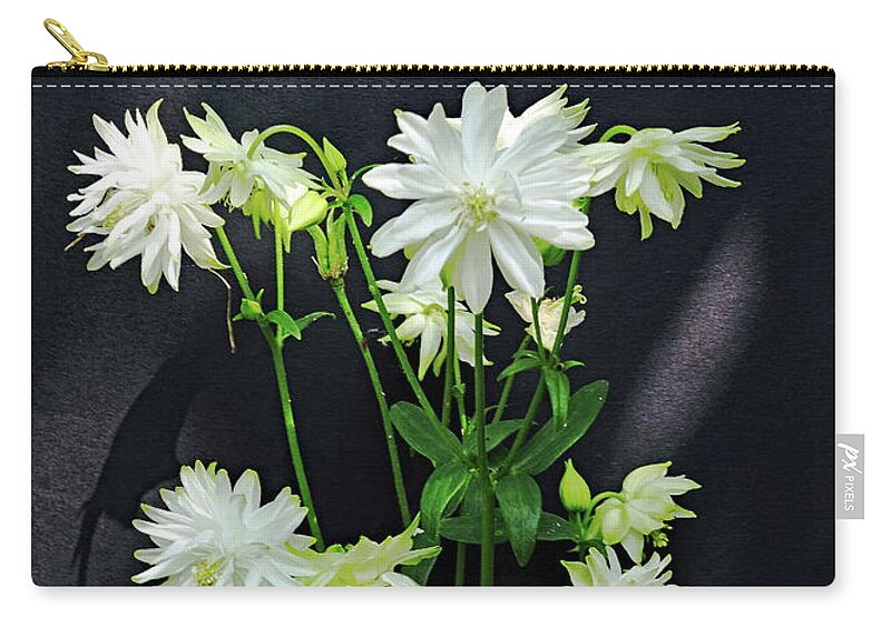 Aquilegia Zip Pouch featuring the photograph Aquilegia Vulgaris Lime Sorbet by Jeff Townsend