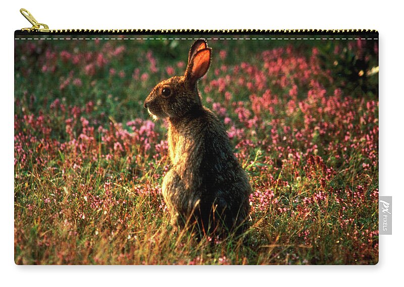 1980-1989 Zip Pouch featuring the photograph Arctic Hare In A Clover Field by Lyle Leduc