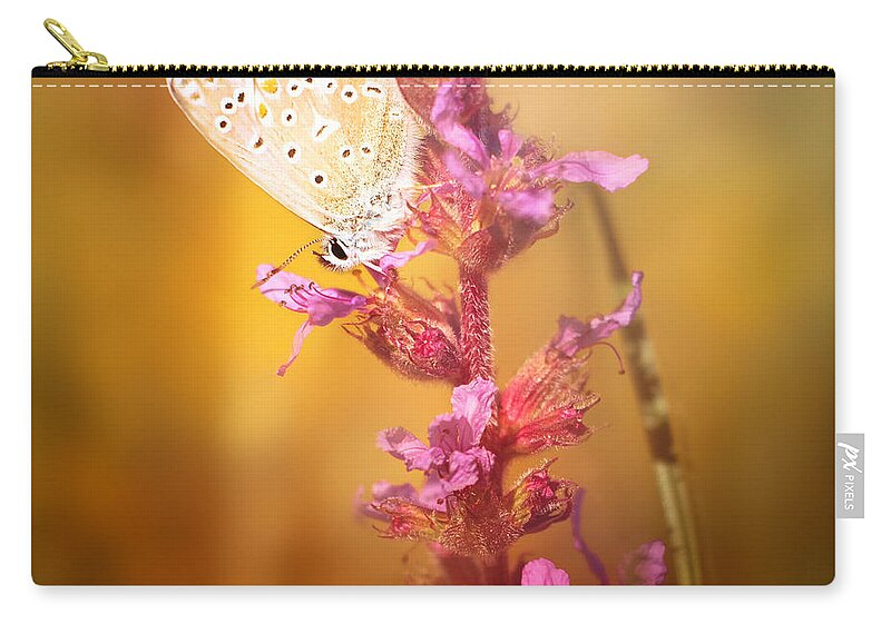 Butterfly Zip Pouch featuring the photograph Around The Meadow 10 by Jaroslav Buna