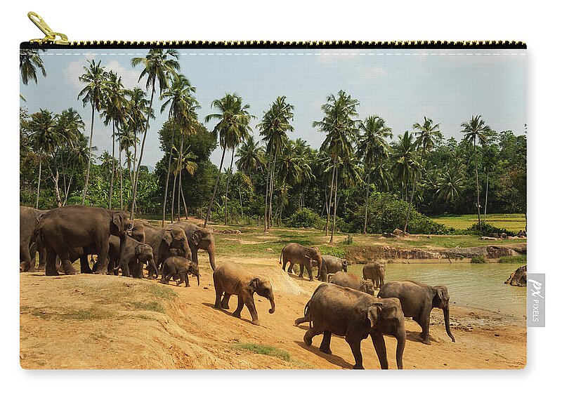 Scenics Zip Pouch featuring the photograph Asian Elephants Going To Bathe by John Elk Iii