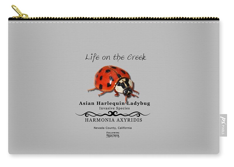 Ladybug Zip Pouch featuring the digital art Asian Harlequin Ladybug by Lisa Redfern