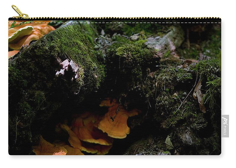 Outsideshooter Zip Pouch featuring the photograph Face, Asleep in a Log by Rich Collins