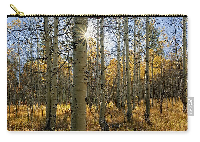 Tranquility Zip Pouch featuring the photograph Aspen Grove South Lake Tahoe, California by Vns24@yahoo.com