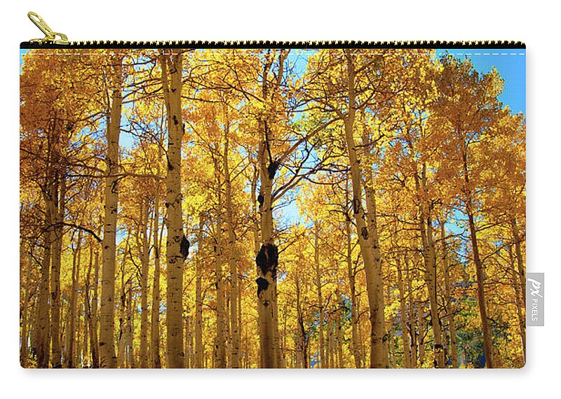 Tranquility Zip Pouch featuring the photograph Aspen Trees In Hill by Kimberly Whitaker