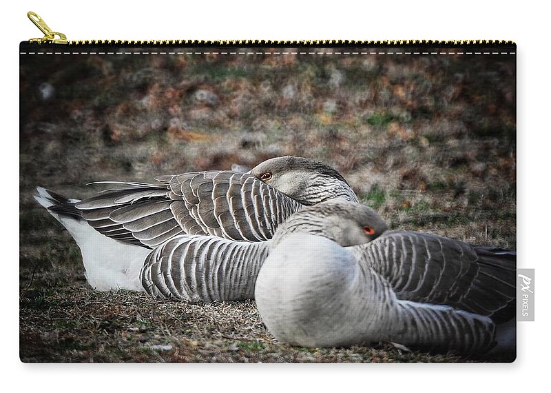  Zip Pouch featuring the photograph At Rest by DArcy Evans