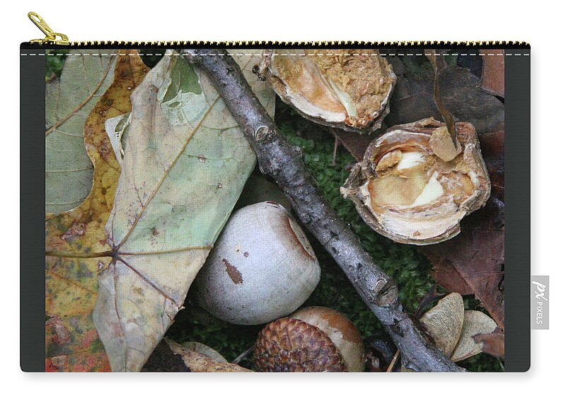 Acorn Zip Pouch featuring the photograph Autumn Acorns by Patricia Overmoyer