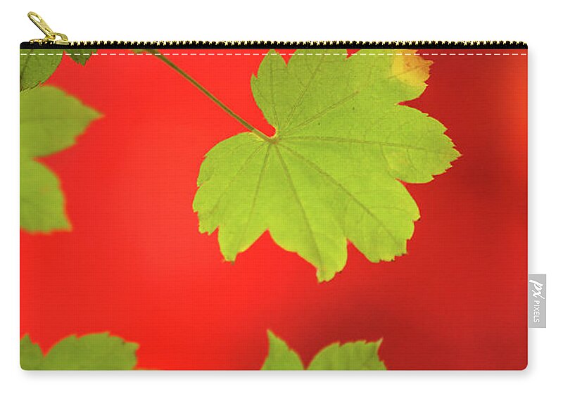 Nature Carry-all Pouch featuring the photograph Autumn by Bob Cournoyer