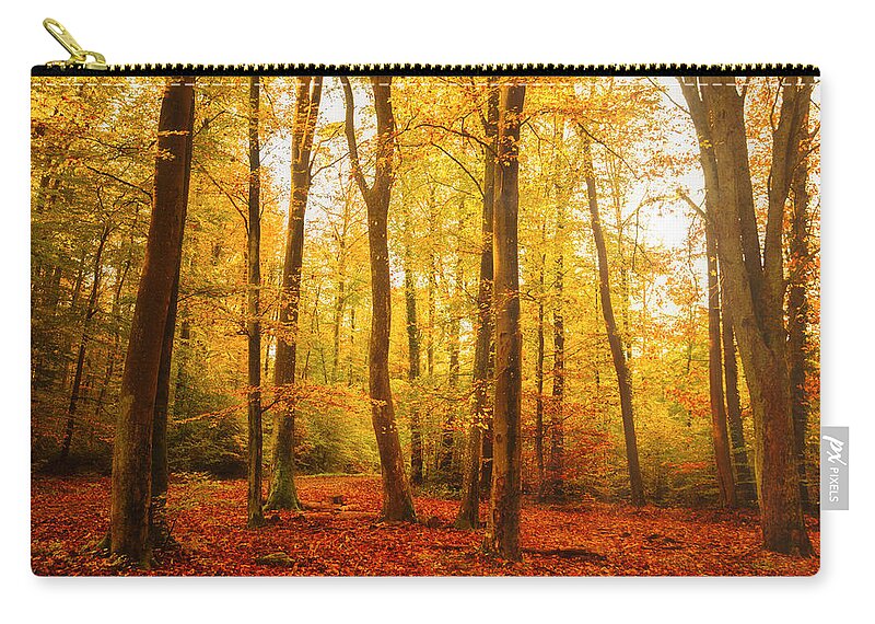 Forest Zip Pouch featuring the photograph Autumn forest by Philippe Sainte-Laudy