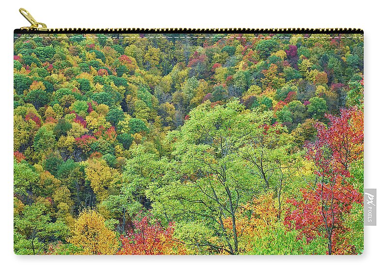00586317 Zip Pouch featuring the photograph Autumn Forest, Steestachee Bald Overlook, Blue Ridge Parkway, North Carolina by Tim Fitzharris