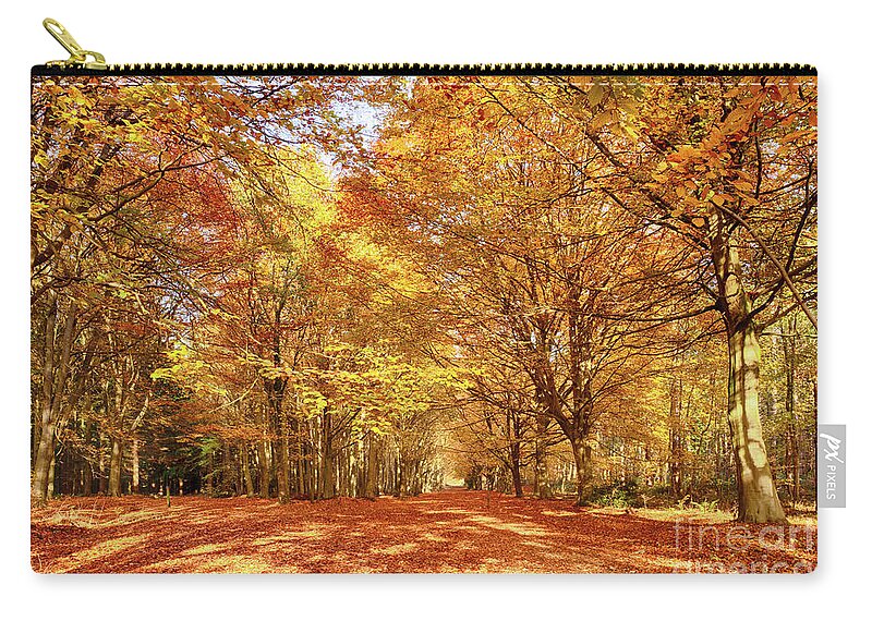 Norfolk Zip Pouch featuring the photograph Norfolk's great autumn forest trees by Simon Bratt
