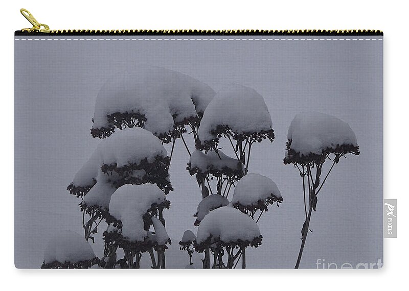 Autumn Glory Zip Pouch featuring the photograph Autumn Glory In Winter by Robert E Alter Reflections of Infinity