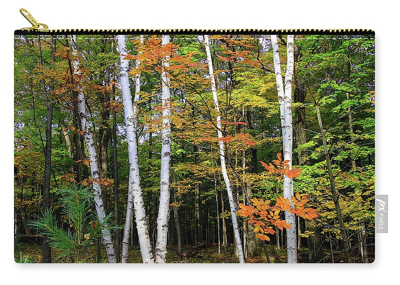 Dawn Richards Zip Pouch featuring the photograph Autumn Grove, Wisconsin by Dawn Richards