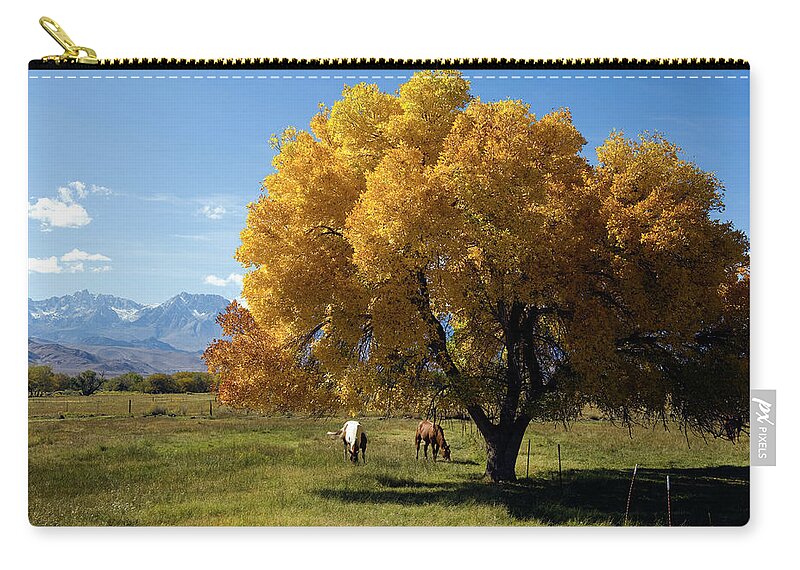Horse Zip Pouch featuring the photograph Autumn Horses by Kevinjeon00