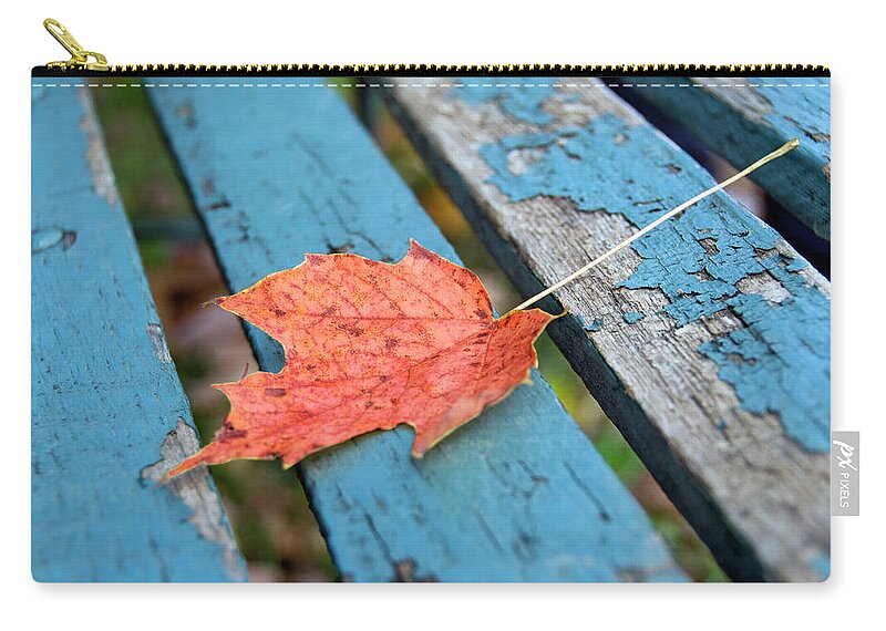 Orange Color Zip Pouch featuring the photograph Autumn Leave by Frankvandenbergh