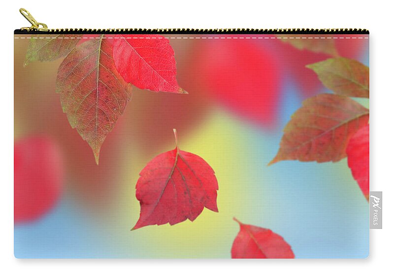 Outdoors Zip Pouch featuring the photograph Autumn Leaves by Oxana Denezhkina