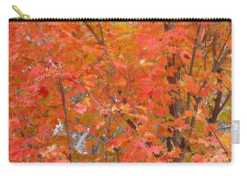 Outdoors Zip Pouch featuring the photograph Autumn Peak by Imagenhanced