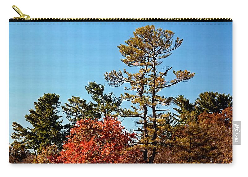 Autumn Zip Pouch featuring the photograph Autumn Now by Allen Nice-Webb