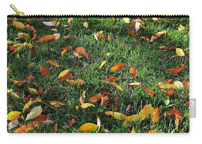 Grass Zip Pouch featuring the photograph Autumn's Confetti by Kae Cheatham