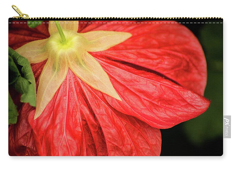 Flower Zip Pouch featuring the photograph Back of Red Flower by Don Johnson