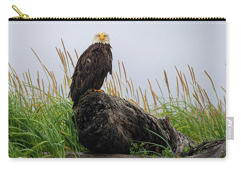 Bald Eagle Zip Pouch featuring the photograph Bald Eagle in Katmai NP by Mark Hunter