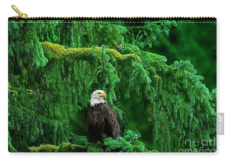 Bald Eagle Zip Pouch featuring the photograph Bald Eagle in Temperate Rainforest Alaska Endangered Species by Dave Welling