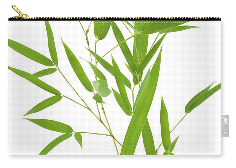 Grass Zip Pouch featuring the photograph Bamboo by Ivstiv
