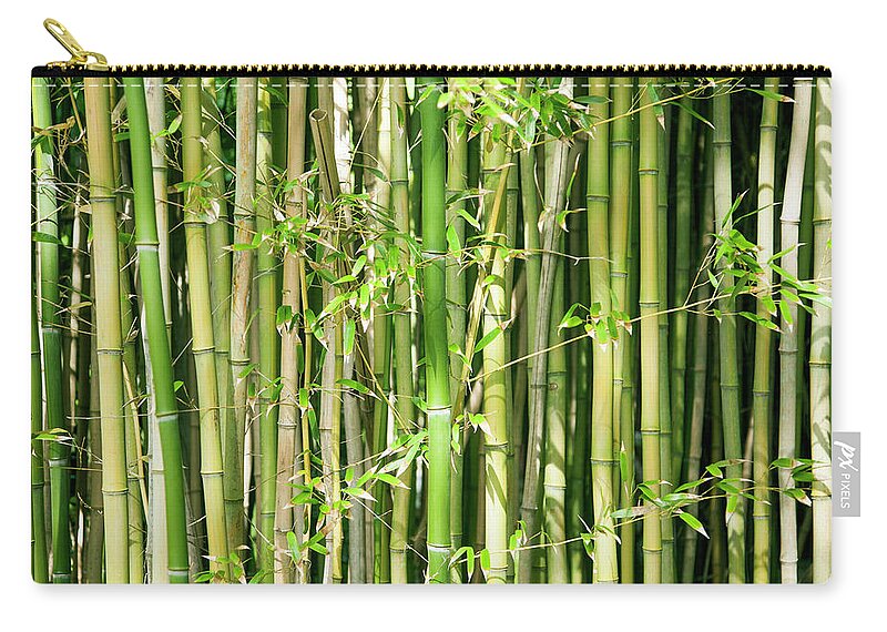 Bamboo Zip Pouch featuring the photograph Bamboo by Jacqueline Veissid