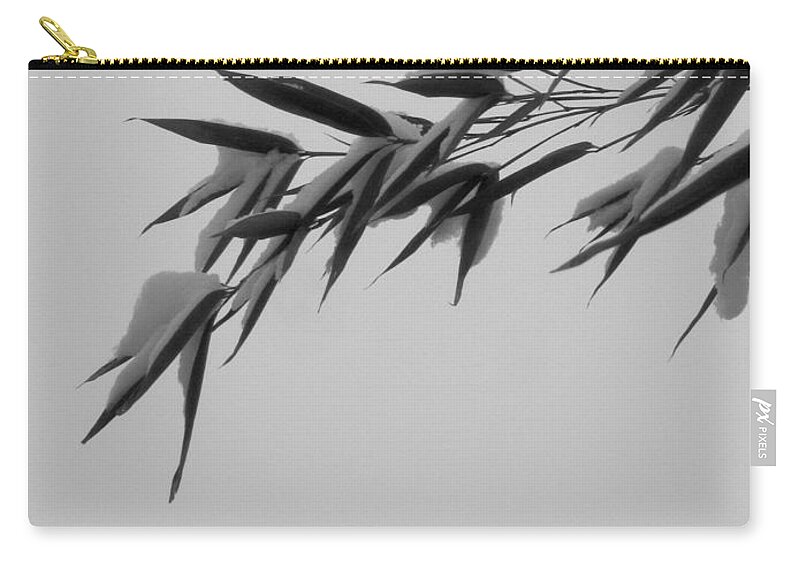 Bamboo Zip Pouch featuring the photograph Bamboo, January by Jane Butler