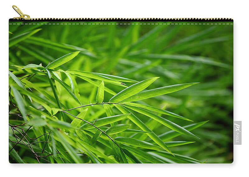 Chinese Culture Zip Pouch featuring the photograph Bamboo Leaves by Ngkaki
