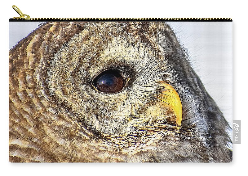 Owl Zip Pouch featuring the pyrography Bard Owl by Michelle Wittensoldner