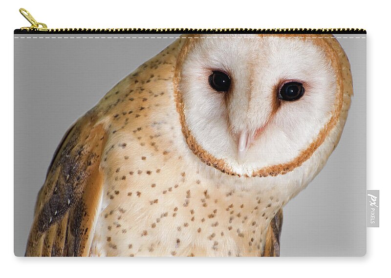 Animal Themes Zip Pouch featuring the photograph Barn Owl by Nancy Nehring