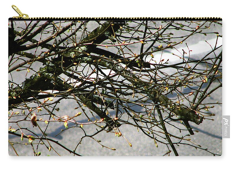 Barren Branches Zip Pouch featuring the photograph Barren Branches by Jaeda DeWalt