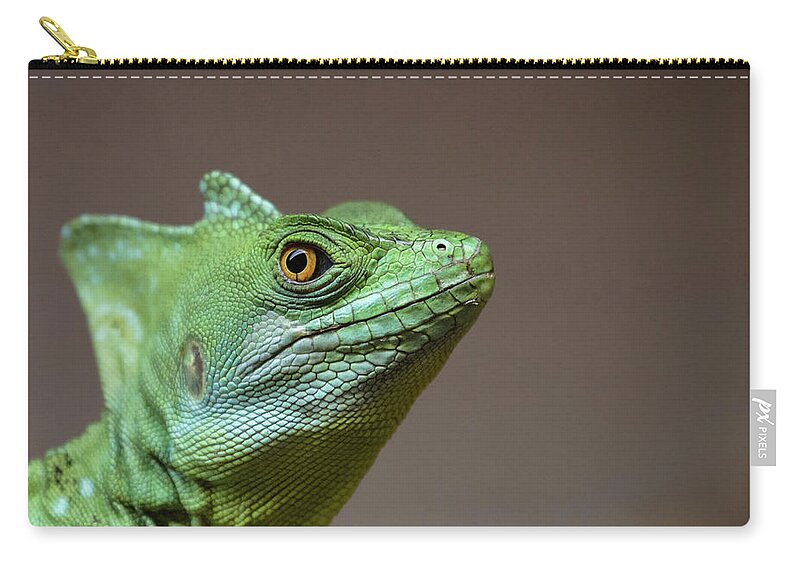 Animal Themes Zip Pouch featuring the photograph Basilisk Lizard by Produced By Oliver C Wright