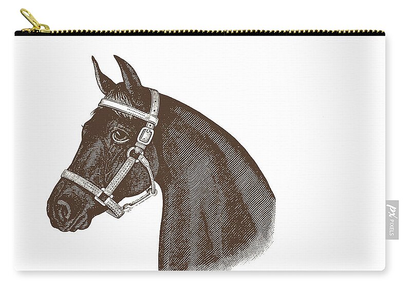 Art Zip Pouch featuring the photograph Bay Horse by Dressage Design