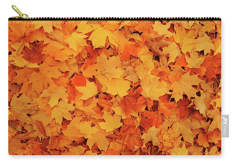 Atlanta Zip Pouch featuring the photograph Beautiful Autumn Maple Leaves by Li Kim Goh