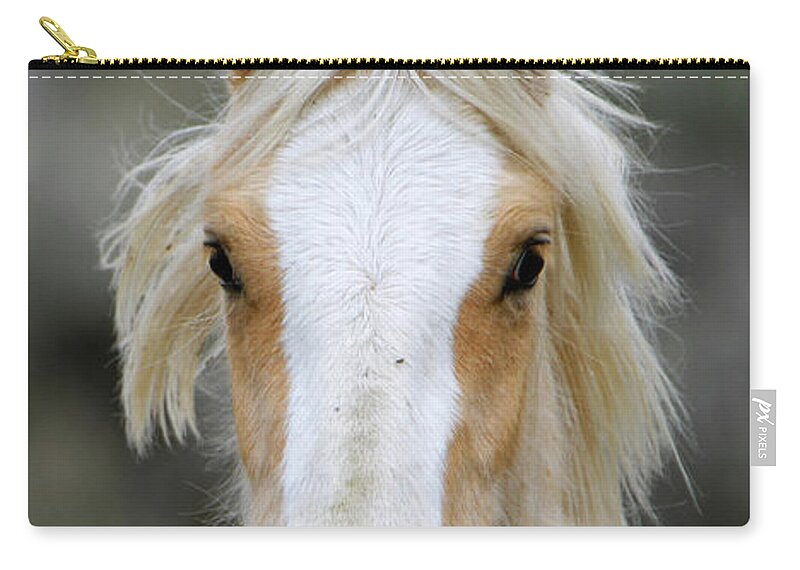 Denise Bruchman Photography Zip Pouch featuring the photograph Beautiful Blonde by Denise Bruchman